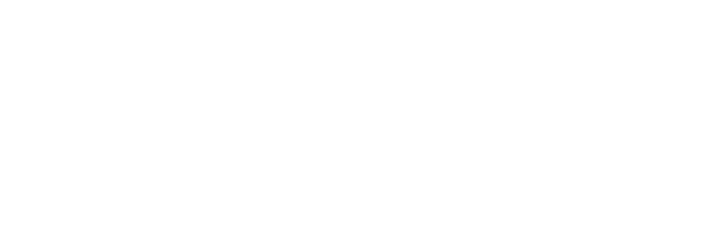logoElevantis